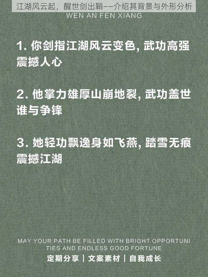 江湖风云起，醒世剑出鞘——介绍其背景与外形分析