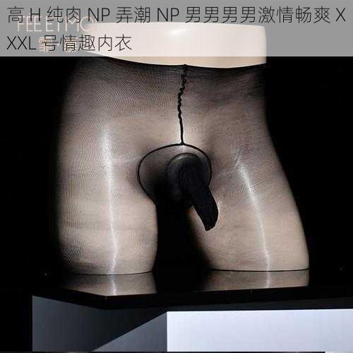 高 H 纯肉 NP 弄潮 NP 男男男男激情畅爽 XXXL 号情趣内衣