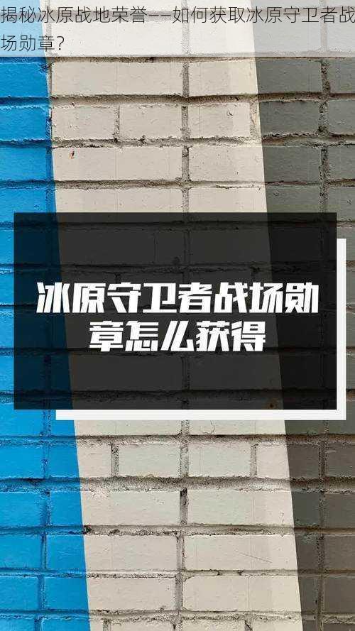 揭秘冰原战地荣誉——如何获取冰原守卫者战场勋章？