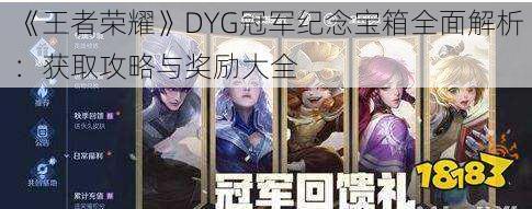 《王者荣耀》DYG冠军纪念宝箱全面解析：获取攻略与奖励大全