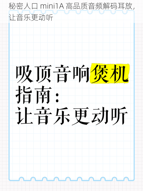 秘密人口 mini1A 高品质音频解码耳放，让音乐更动听