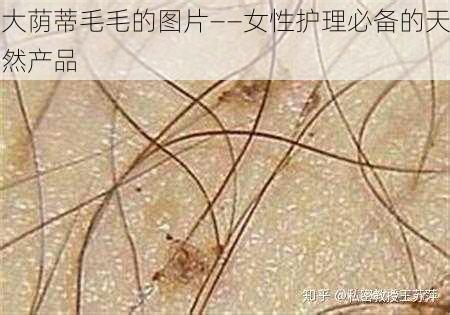 大荫蒂毛毛的图片——女性护理必备的天然产品