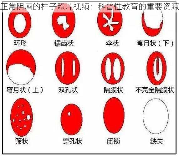 正常阴脣的样子照片视频：科普性教育的重要资源