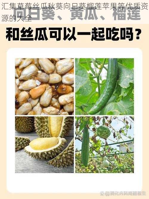 汇集草莓丝瓜秋葵向日葵榴莲苹果等优质资源的大全