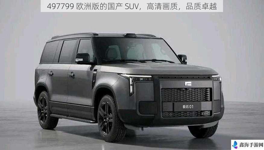 497799 欧洲版的国产 SUV，高清画质，品质卓越