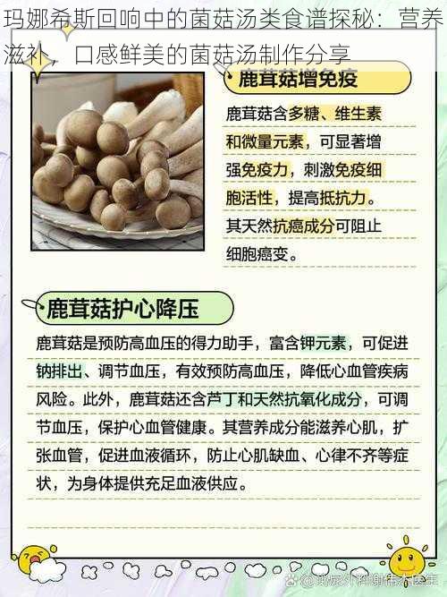 玛娜希斯回响中的菌菇汤类食谱探秘：营养滋补，口感鲜美的菌菇汤制作分享