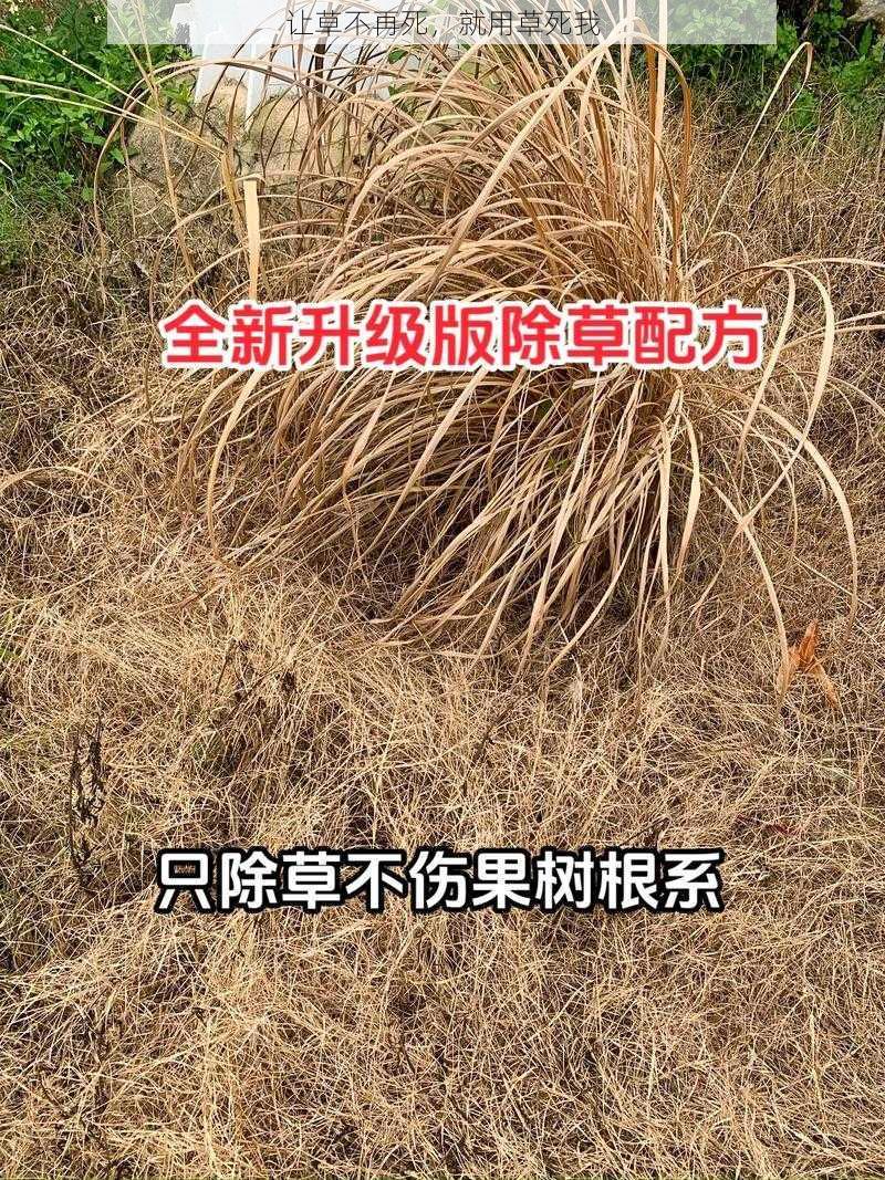 让草不再死，就用草死我