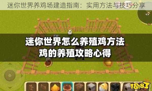 迷你世界养鸡场建造指南：实用方法与技巧分享