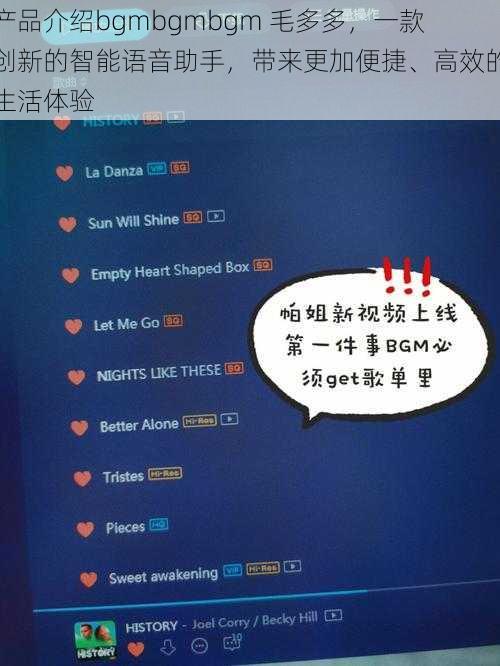 产品介绍bgmbgmbgm 毛多多，一款创新的智能语音助手，带来更加便捷、高效的生活体验