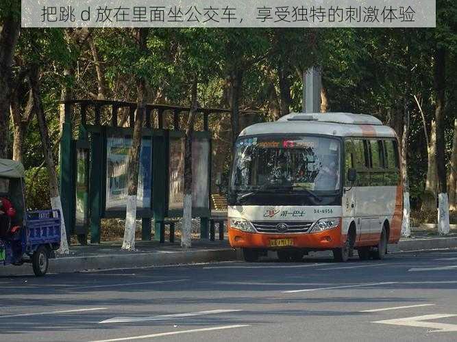 把跳 d 放在里面坐公交车，享受独特的刺激体验