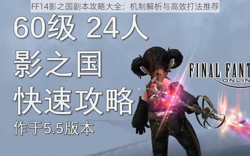 FF14影之国副本攻略大全：机制解析与高效打法推荐