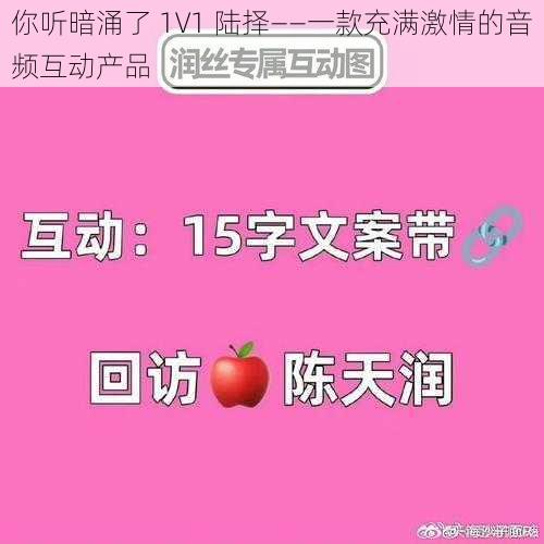 你听暗涌了 1V1 陆择——一款充满激情的音频互动产品