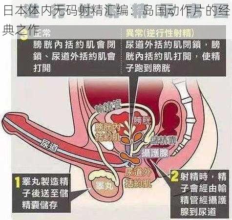 日本体内无码射精汇编：岛国动作片的经典之作