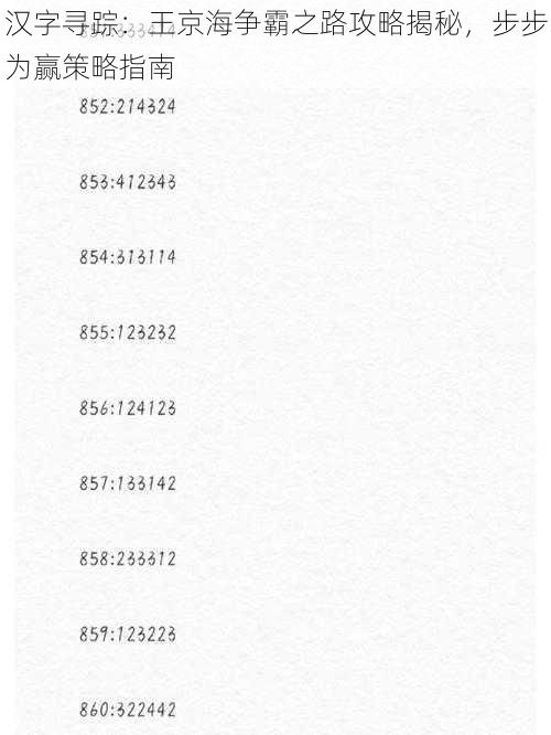 汉字寻踪：王京海争霸之路攻略揭秘，步步为赢策略指南
