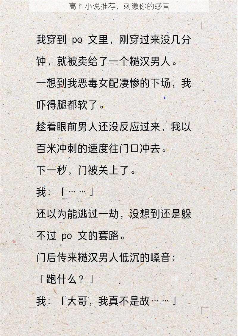 高 h 小说推荐，刺激你的感官