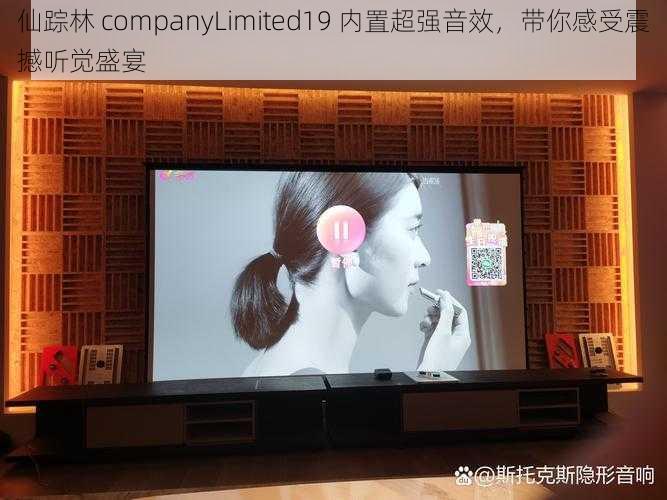 仙踪林 companyLimited19 内置超强音效，带你感受震撼听觉盛宴