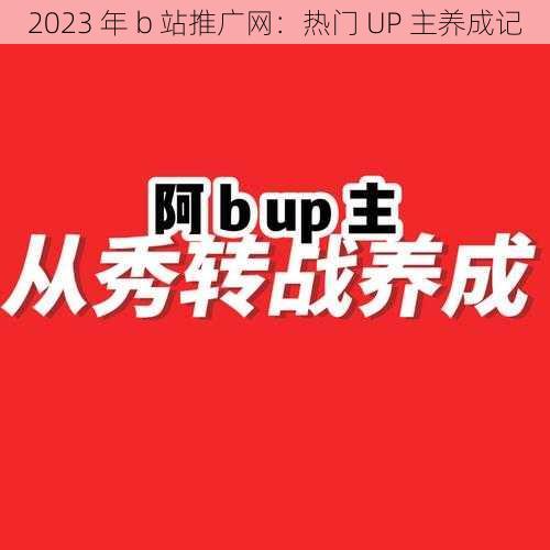 2023 年 b 站推广网：热门 UP 主养成记