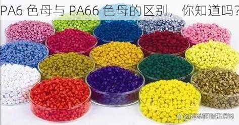 PA6 色母与 PA66 色母的区别，你知道吗？