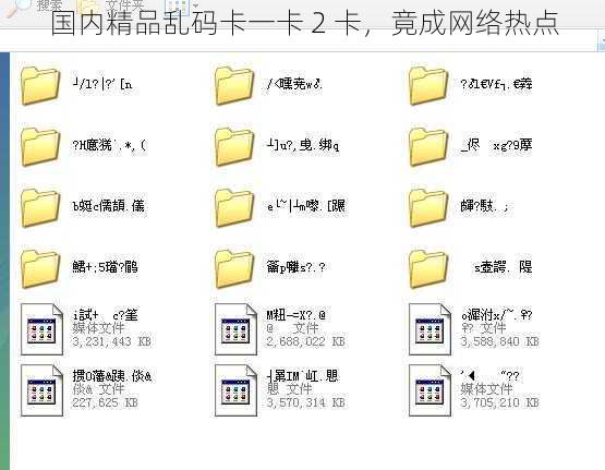 国内精品乱码卡一卡 2 卡，竟成网络热点