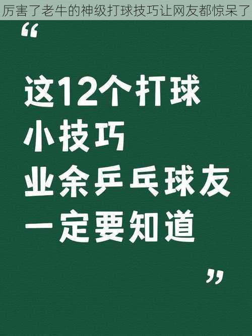 厉害了老牛的神级打球技巧让网友都惊呆了