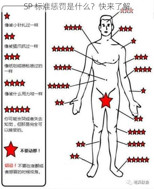 SP 标准惩罚是什么？快来了解