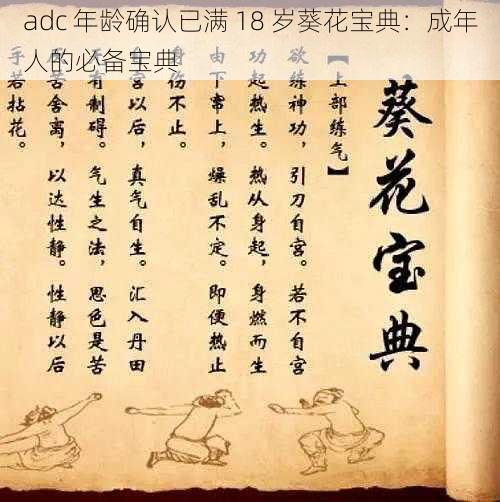 adc 年龄确认已满 18 岁葵花宝典：成年人的必备宝典