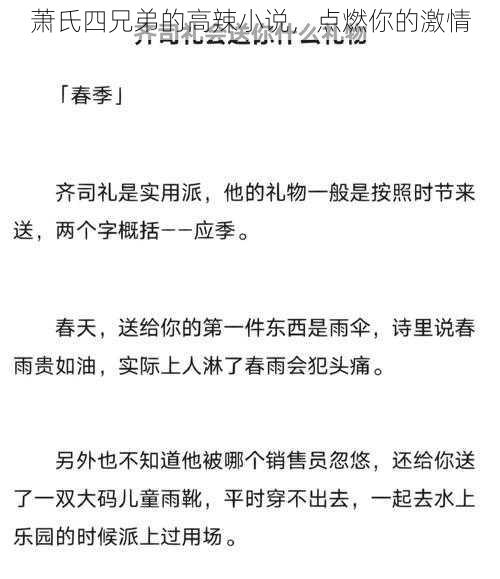 萧氏四兄弟的高辣小说，点燃你的激情