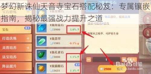 梦幻新诛仙天音寺宝石搭配秘笈：专属镶嵌指南，揭秘最强战力提升之道