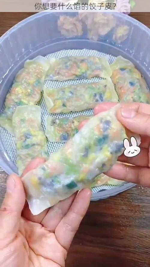 你想要什么馅的饺子皮？