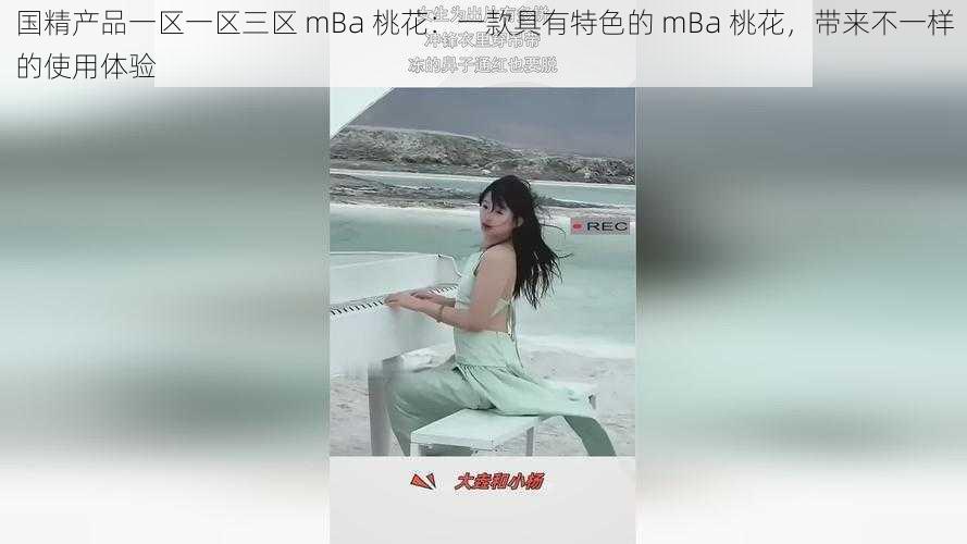 国精产品一区一区三区 mBa 桃花：一款具有特色的 mBa 桃花，带来不一样的使用体验