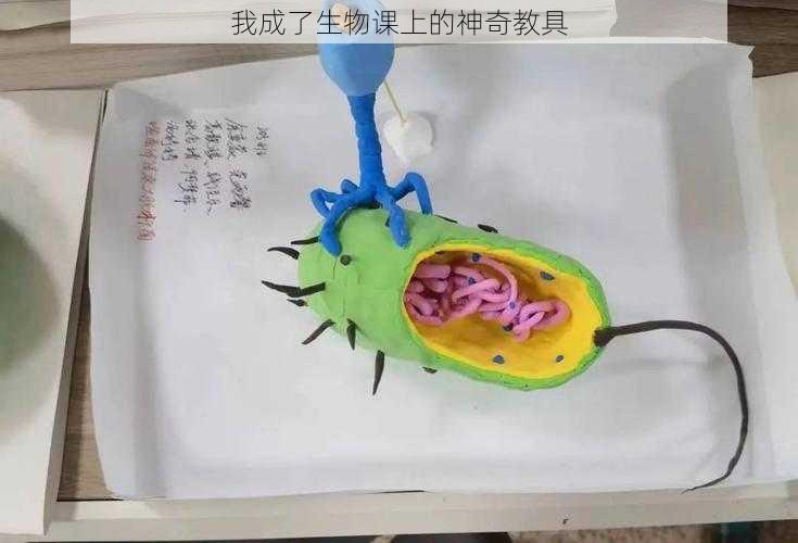 我成了生物课上的神奇教具