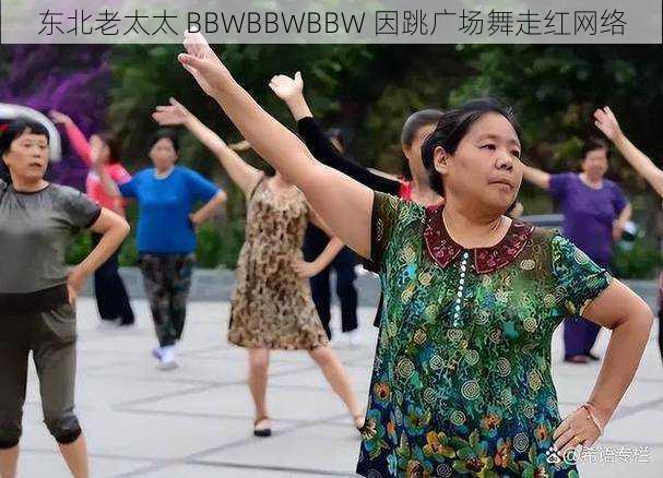 东北老太太 BBWBBWBBW 因跳广场舞走红网络