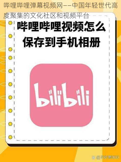 哔哩哔哩弹幕视频网——中国年轻世代高度聚集的文化社区和视频平台