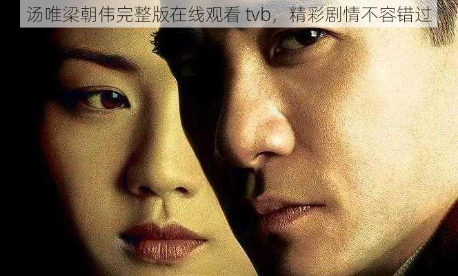 汤唯梁朝伟完整版在线观看 tvb，精彩剧情不容错过