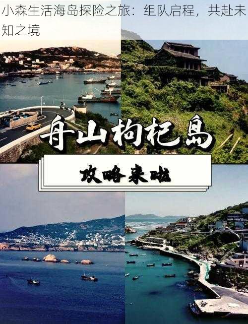 小森生活海岛探险之旅：组队启程，共赴未知之境