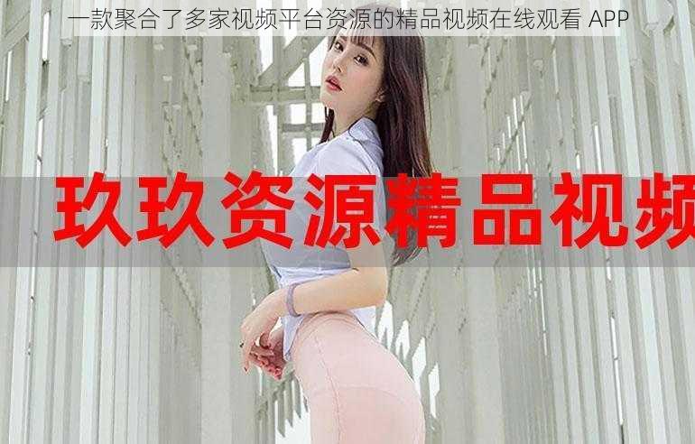 一款聚合了多家视频平台资源的精品视频在线观看 APP