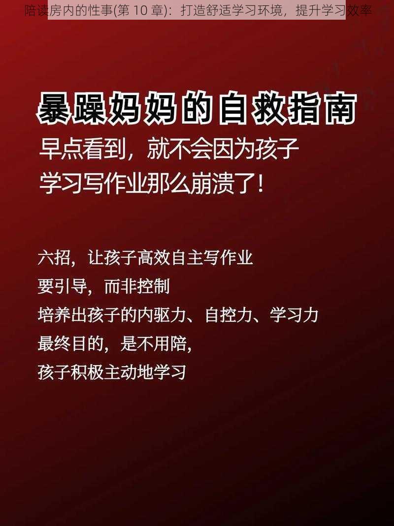 陪读房内的性事(第 10 章)：打造舒适学习环境，提升学习效率