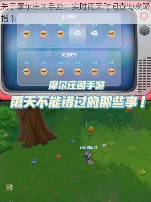 关于摩尔庄园手游：实时雨天时间查询攻略指南