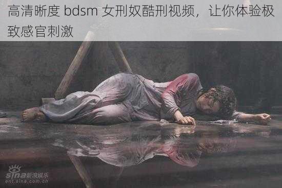 高清晰度 bdsm 女刑奴酷刑视频，让你体验极致感官刺激