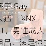 痞子 Gay 大猛一 XNXX1，男性成人用品，满足你的特殊需求