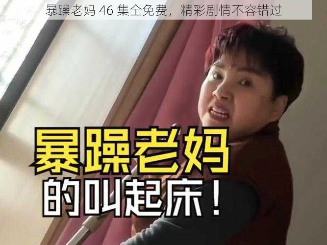 暴躁老妈 46 集全免费，精彩剧情不容错过