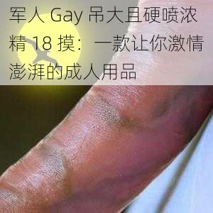 军人 Gay 吊大且硬喷浓精 18 摸：一款让你激情澎湃的成人用品