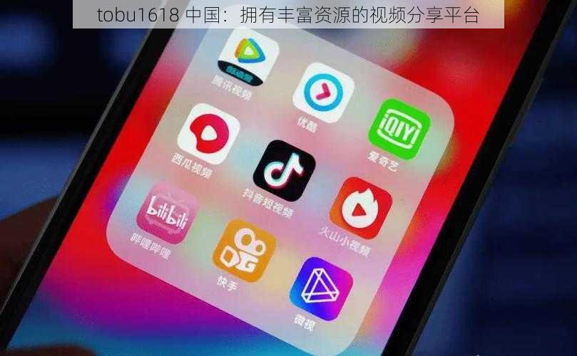 tobu1618 中国：拥有丰富资源的视频分享平台