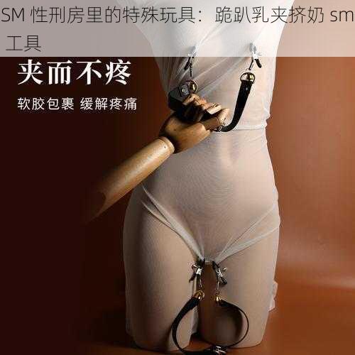 SM 性刑房里的特殊玩具：跪趴乳夹挤奶 sm 工具