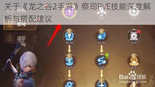 关于《龙之谷2手游》祭司PVE技能深度解析与搭配建议