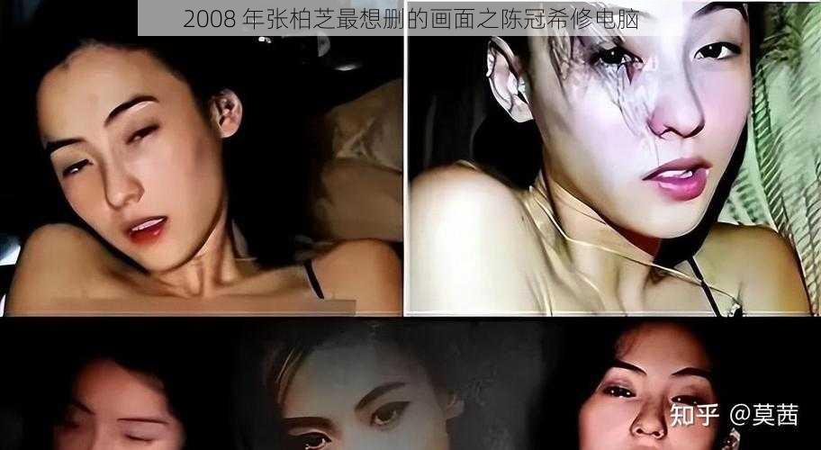 2008 年张柏芝最想删的画面之陈冠希修电脑