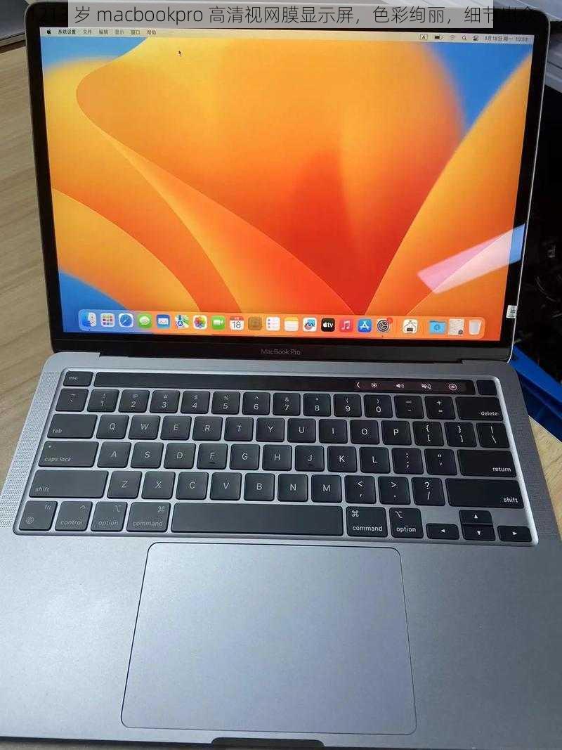 1213 岁 macbookpro 高清视网膜显示屏，色彩绚丽，细节出众