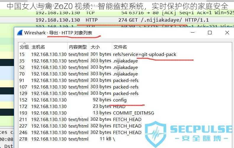 中国女人与禽 ZoZ0 视频：智能监控系统，实时保护你的家庭安全