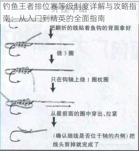 钓鱼王者排位赛等级制度详解与攻略指南：从入门到精英的全面指南