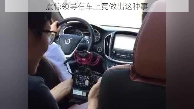 震惊领导在车上竟做出这种事